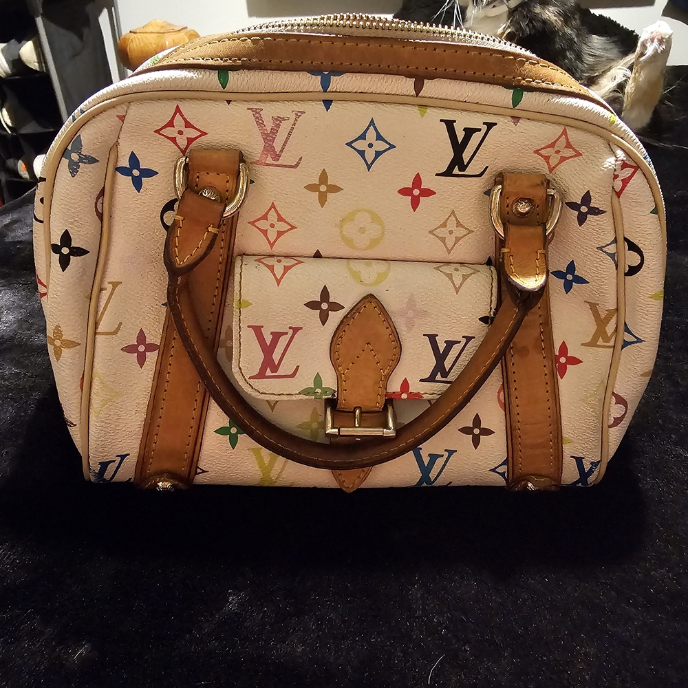 Multicolor Canvas Handbag